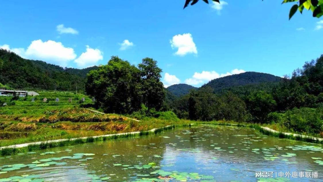 ks免费涨热度软件：免费提升视频播放量的有效方法_和平精英卡盟低价自助下单