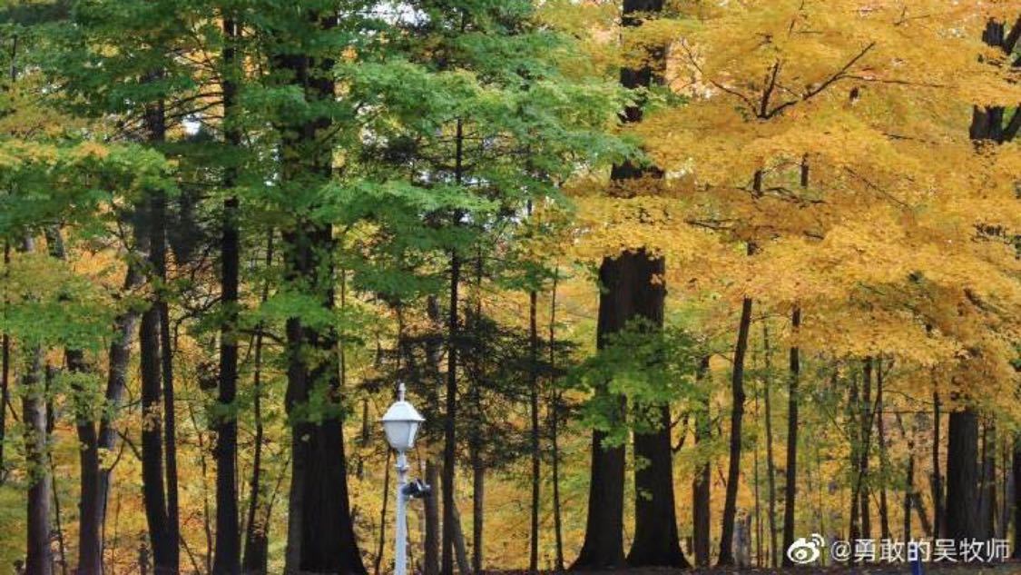 稍早前联合推广轻量化搭建您的网络平台:企业线上增长的隐形引擎,河南一枯井发现近百名烈士遗骸