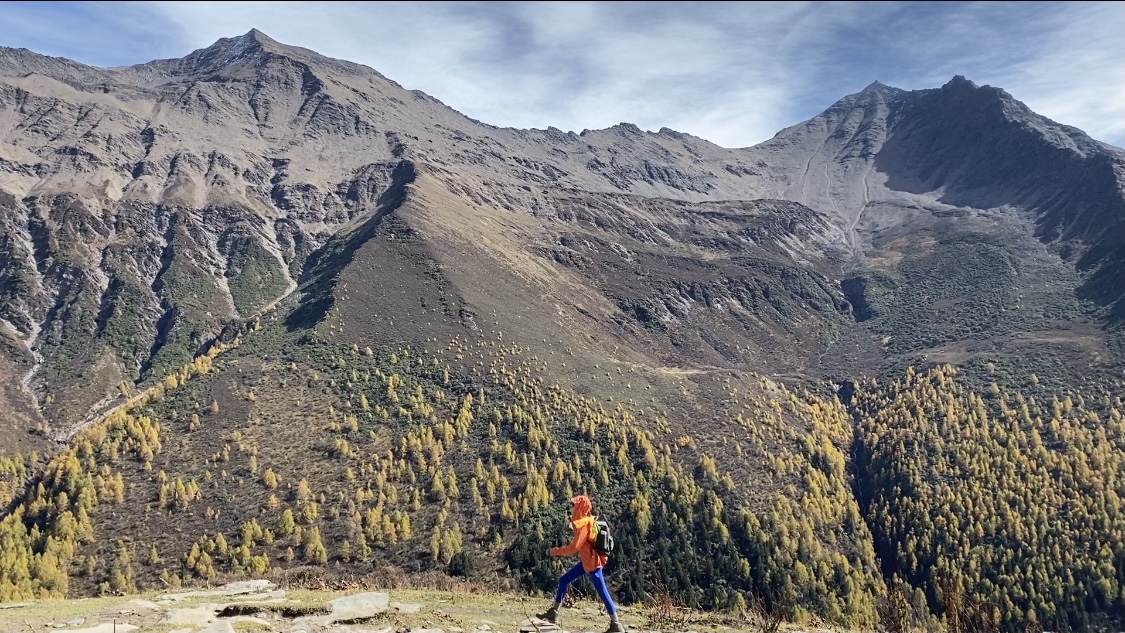 低价dy业务卡盟网站
